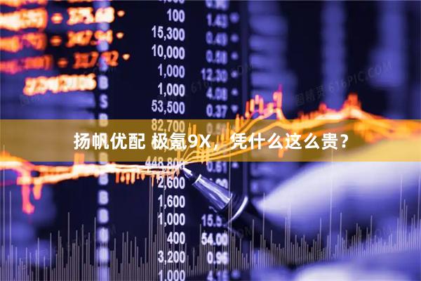 扬帆优配 极氪9X，凭什么这么贵？